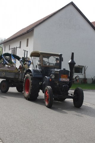 Maibaum 2013